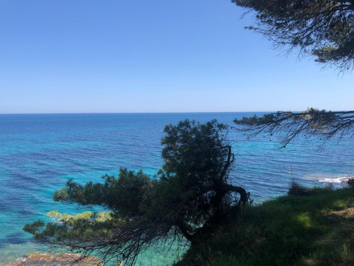 Apartament Fabiola 1 Calpe Zewnętrze zdjęcie